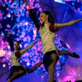 Muse-X The first Music and Creative Arts Expo-Festival Comes to Tirana
